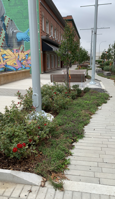 Jasper Ave New Vision