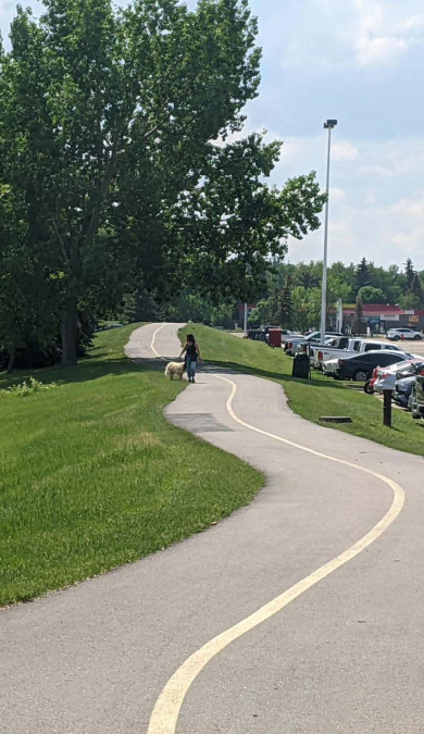 Strathcona County Trails