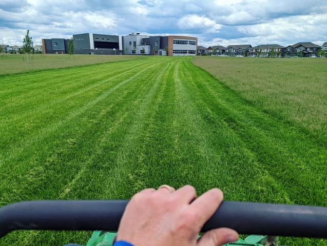 Experience Working Here