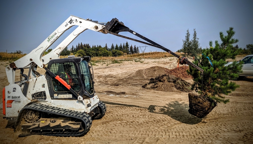 Experience Working Here