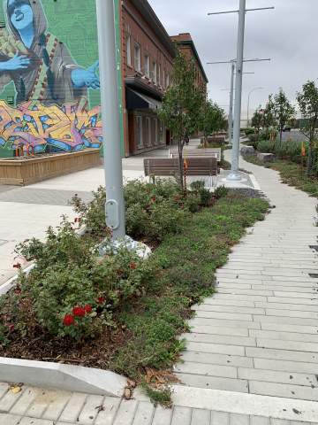 Jasper Ave New Vision