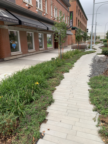 Jasper Ave New Vision