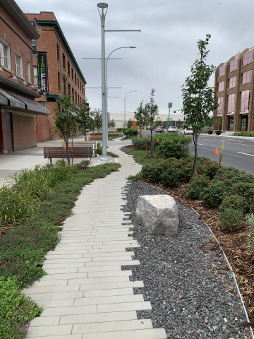 Jasper Ave New Vision