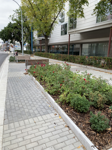 Jasper Ave New Vision