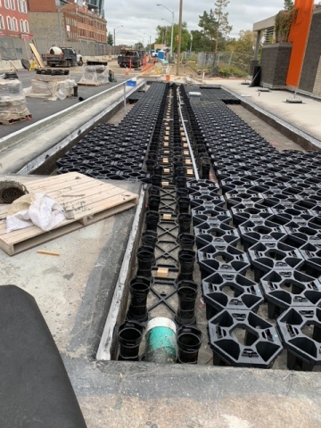 Jasper Ave New Vision