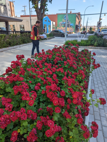 Jasper Ave New Vision