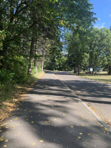 Sir Wilfrid Laurier Park Improvements