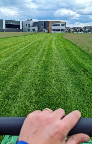 Experience Working Here