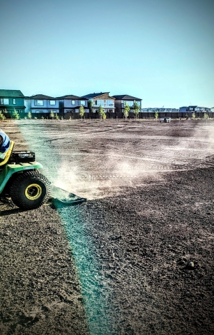 Experience Working Here