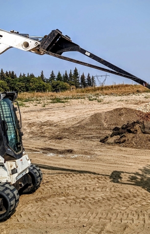 Experience Working Here