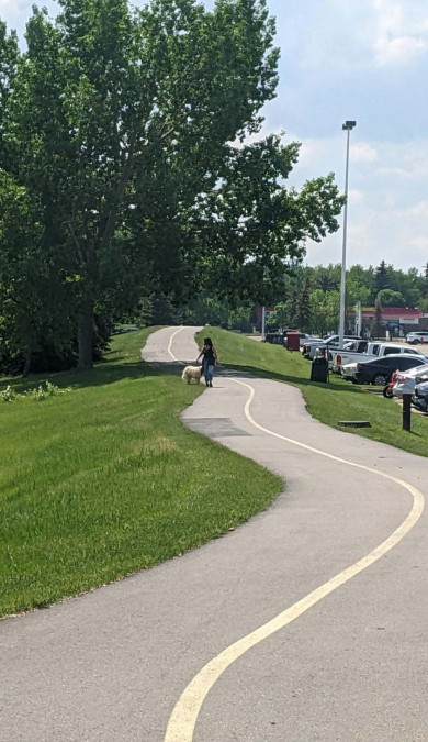 Strathcona County Trails